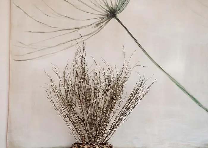 Fuoriporta Affitti Brevi - Clodia - Casangiorgio104